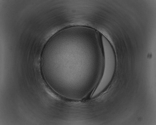 X0000093250389200710171431