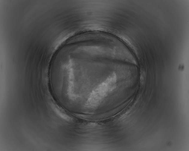 X0000093250390200710171431