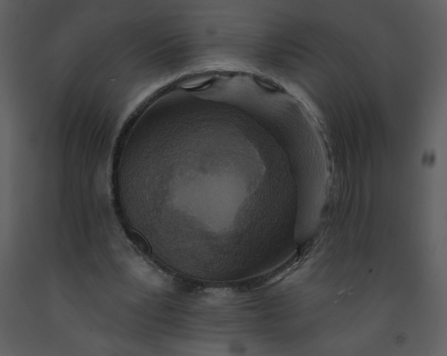 X0000093250391200710171431