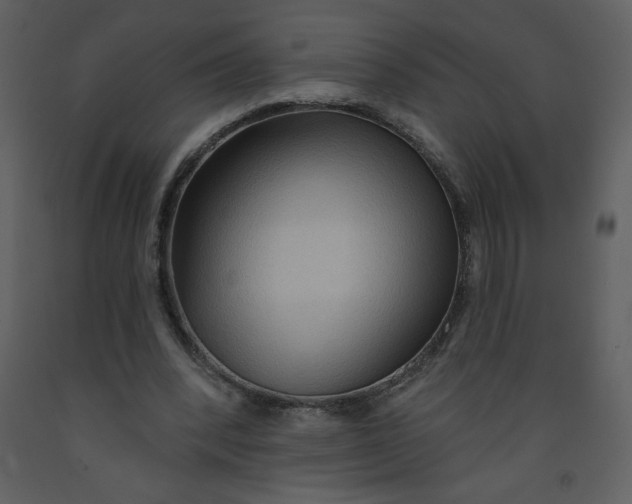 X0000093250392200710171430