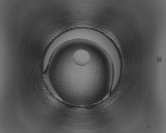 X0000093250393200710171430