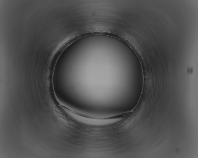 X0000093250395200710171430