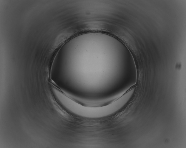 X0000093250397200710171430