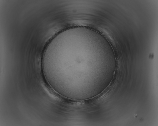 X0000093250398200710171430