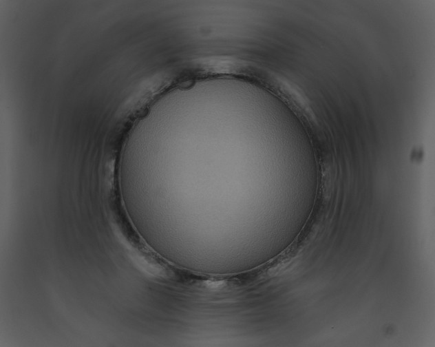 X0000093250406200710171430