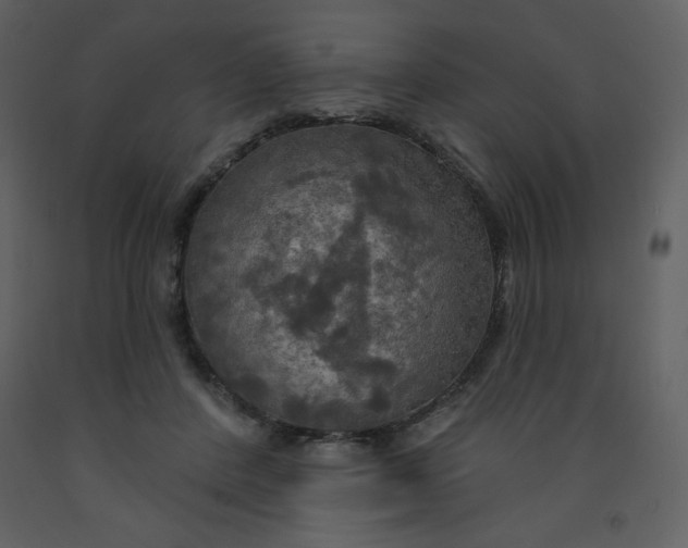 X0000093250408200710171430