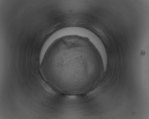 X0000093250409200710171430