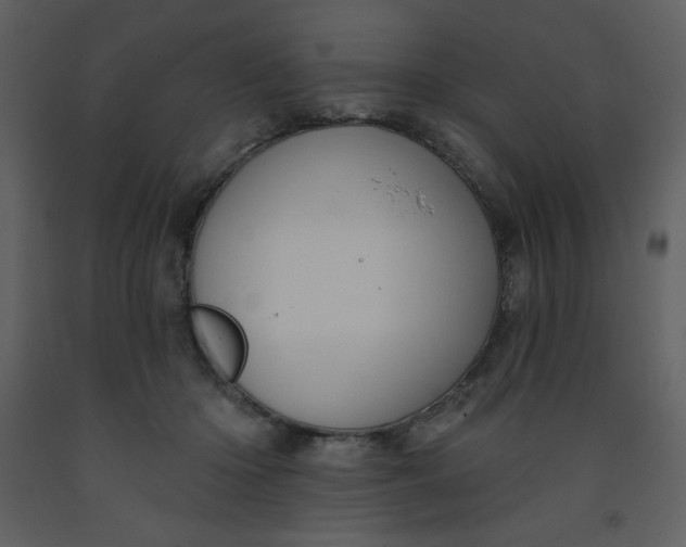 X0000093250414200710171430