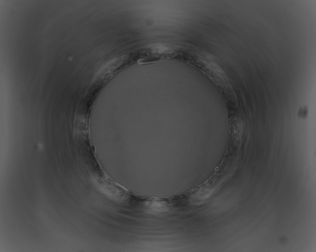 X0000093250419200710171430