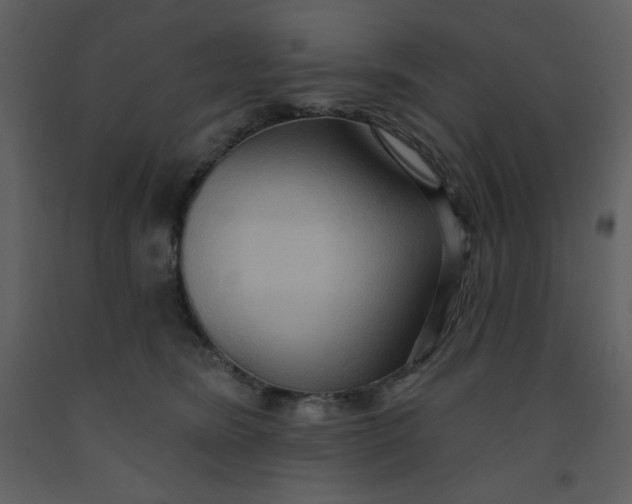 X0000093250420200710171430