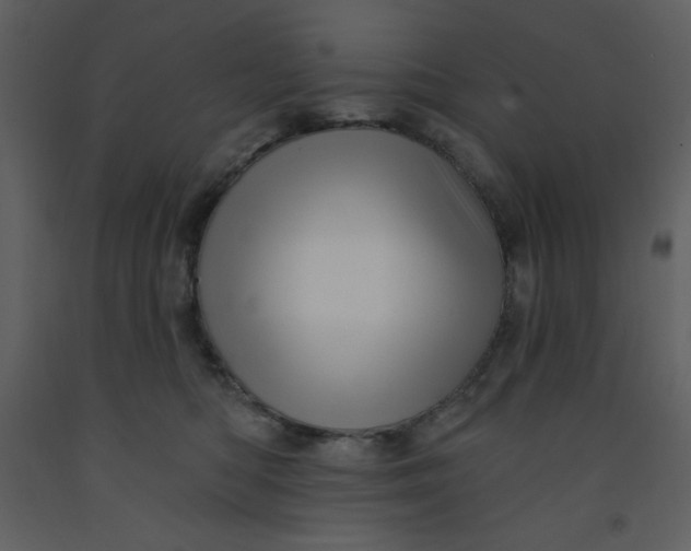 X0000093250422200710171430