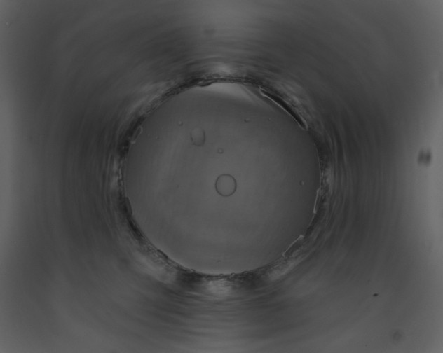 X0000093250423200710171430