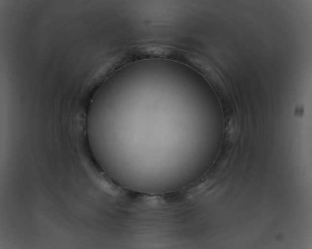 X0000093250424200710171430