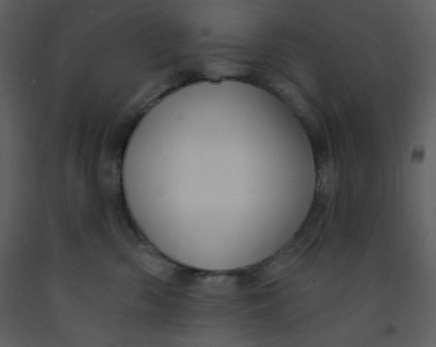 X0000093250426200710171430