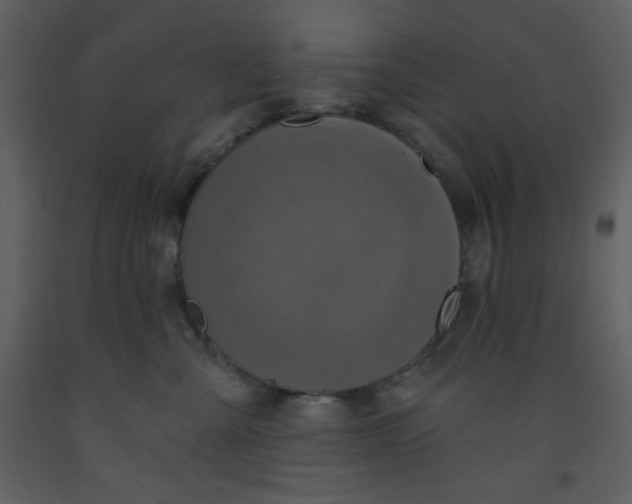 X0000093250427200710171430