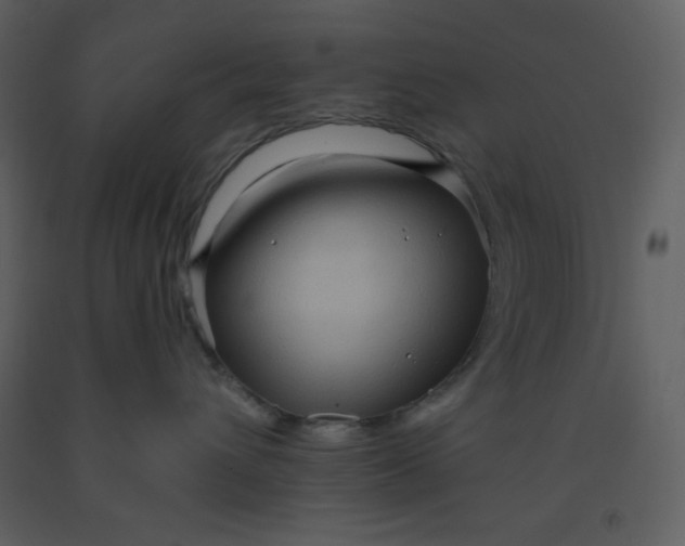 X0000093250432200710171430