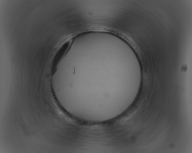 X0000093250433200710171429