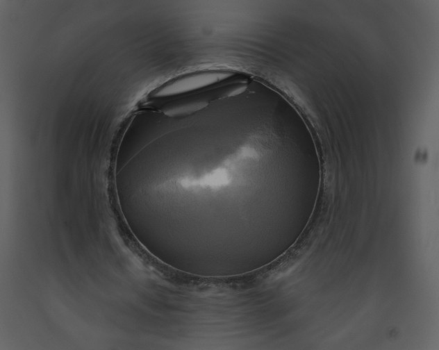 X0000093250434200710171429