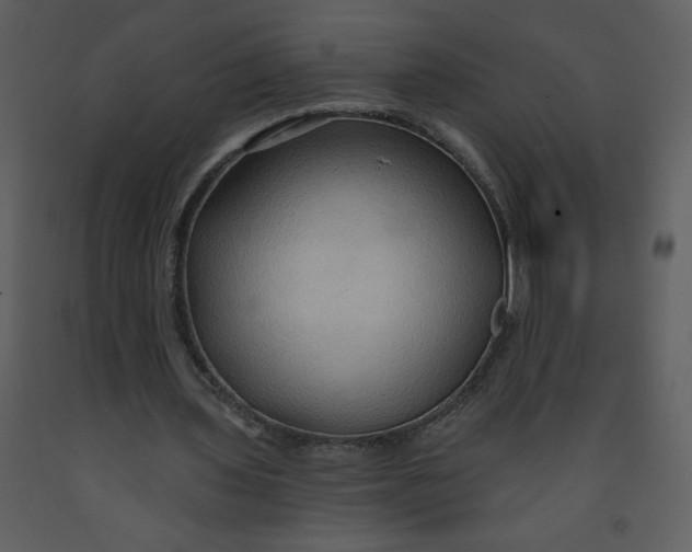 X0000093250435200710171429