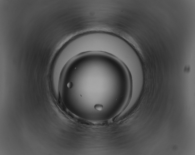 X0000093250436200710171429