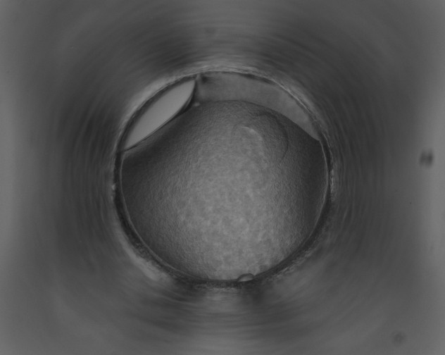 X0000093250438200710171429