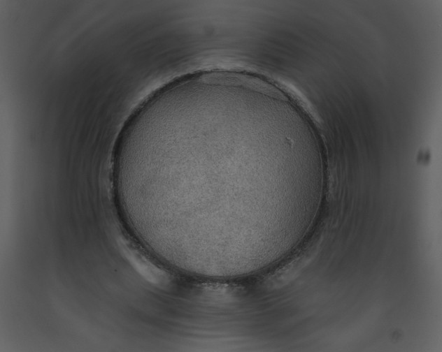 X0000093250439200710171429