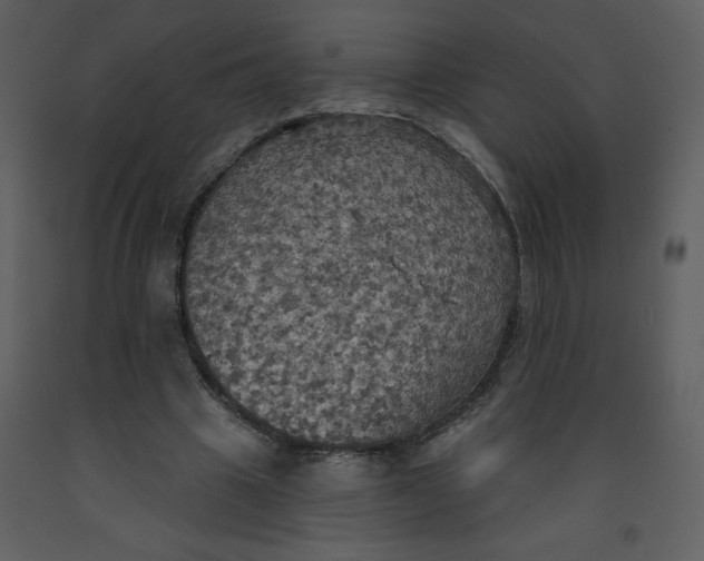 X0000093250441200710171429