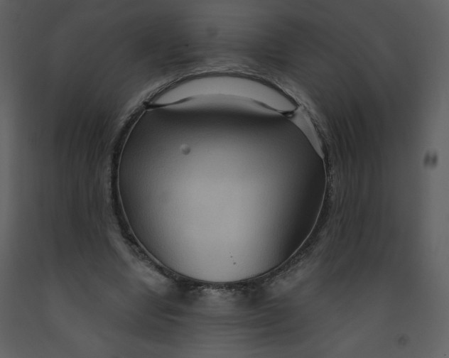 X0000093250442200710171429