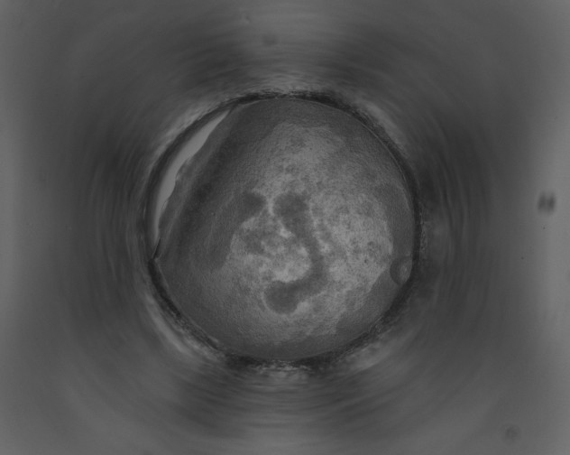 X0000093250443200710171429