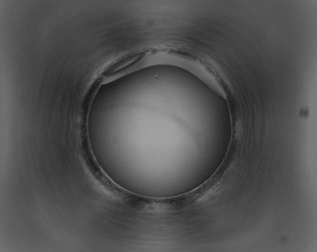 X0000093250444200710171429