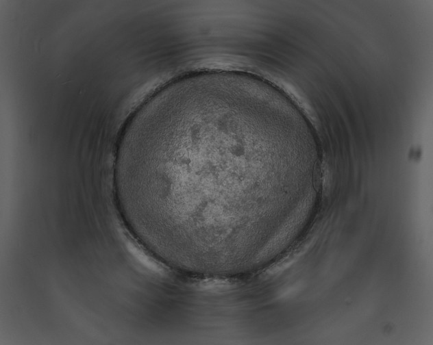 X0000093250445200710171429