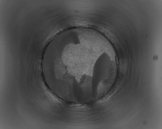 X0000093250449200710171429