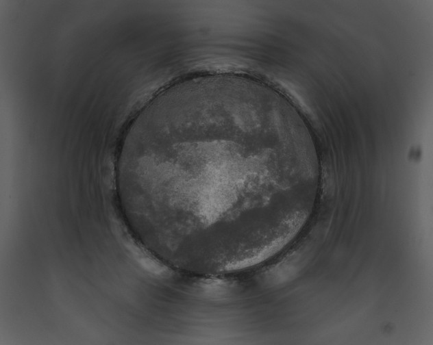 X0000093250453200710171429