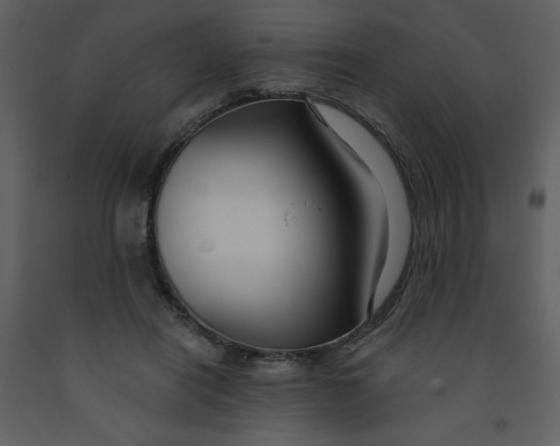 X0000093250454200710171429