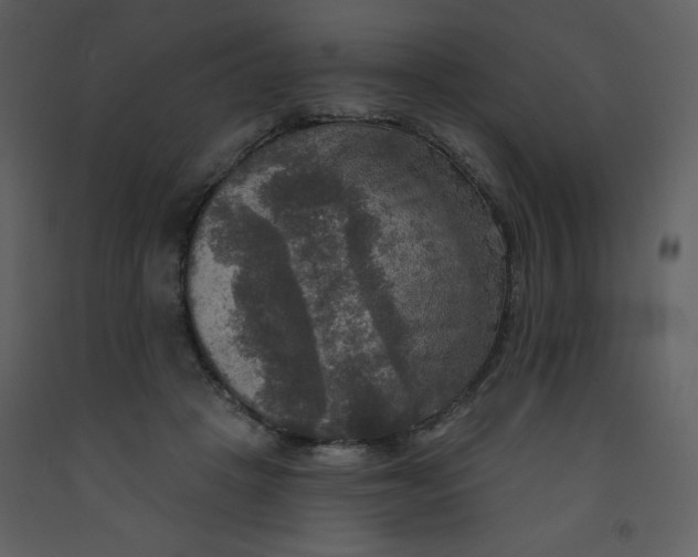 X0000093250457200710171430