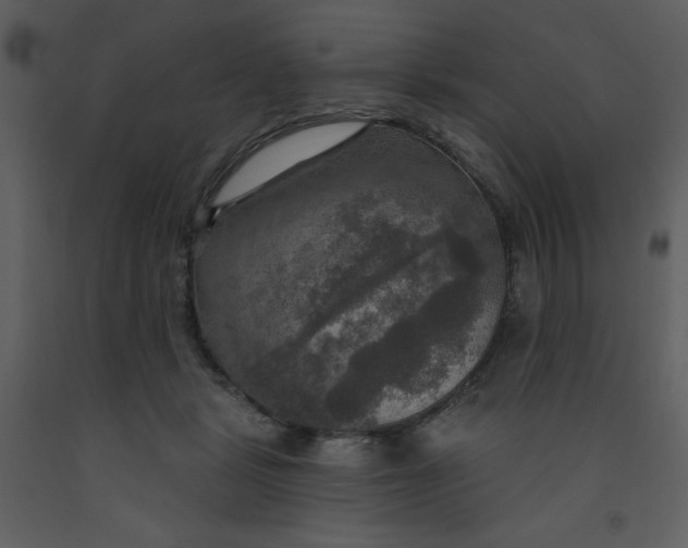 X0000093250461200710171430