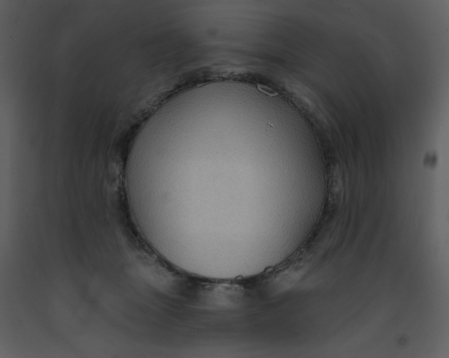 X0000093250463200710171430