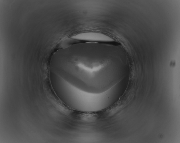 X0000093250465200710171430