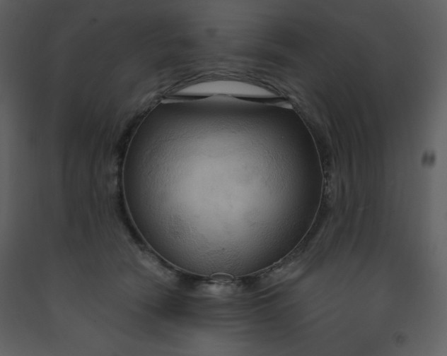 X0000093250466200710171430