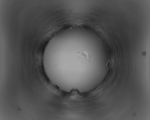 X0000093250468200710171430