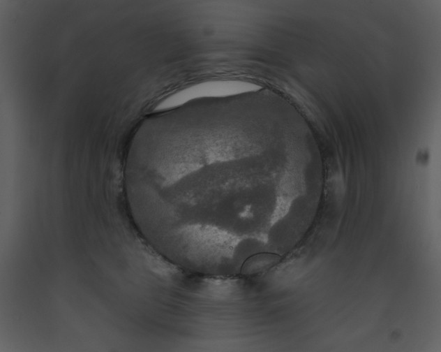 X0000093250469200710171430