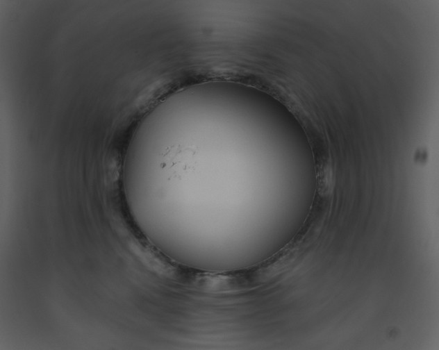 X0000093250472200710171430