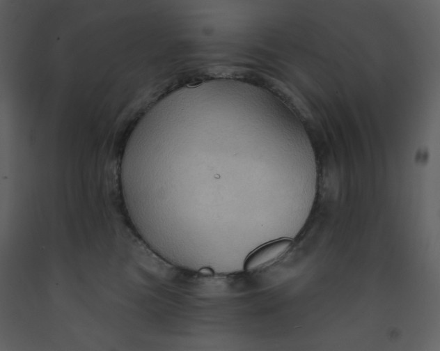 X0000093250473200710171430