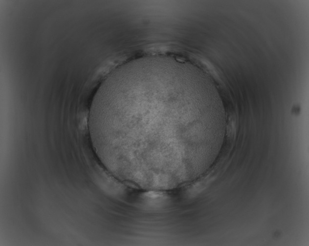 X0000093250477200710171430