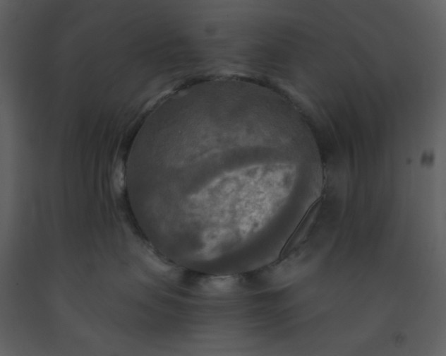 X0000093250479200710171430