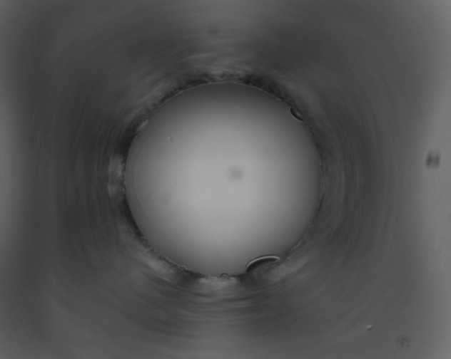 X0000093250480200710171430