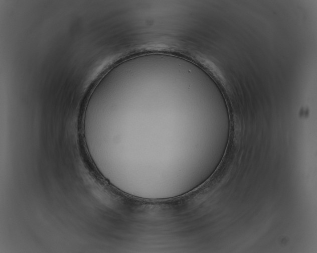 X0000093250482200710171429