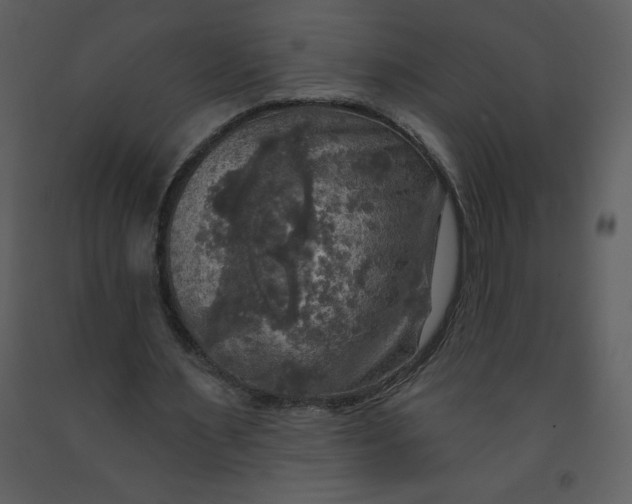 X0000093250483200710171429