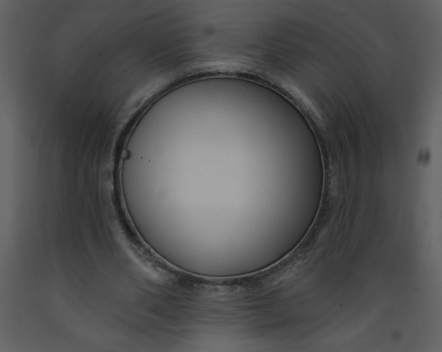 X0000093250486200710171429