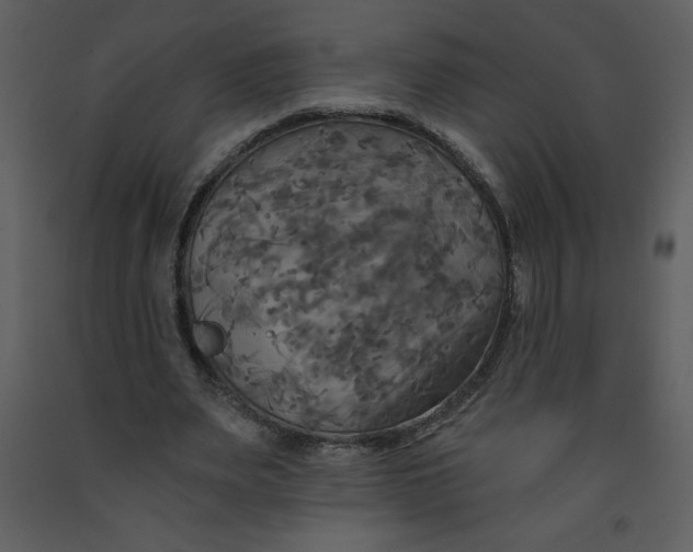 X0000093250487200710171429